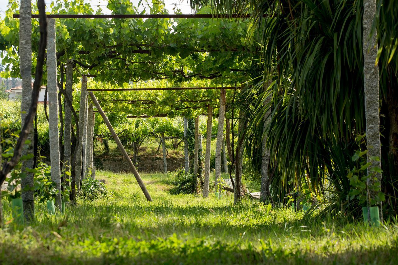 Quinta De Lourosa Guest House Lousada Bagian luar foto