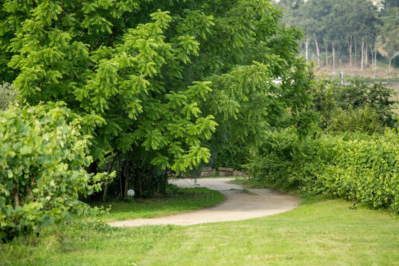 Quinta De Lourosa Guest House Lousada Bagian luar foto